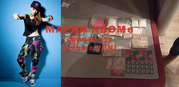 индика Медногорск