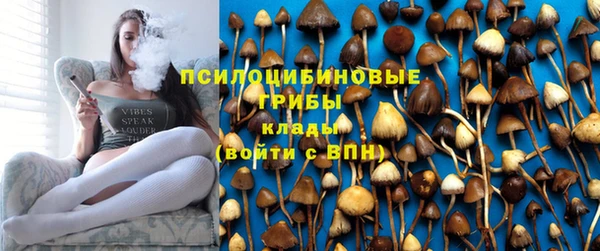 мдпв Михайловка