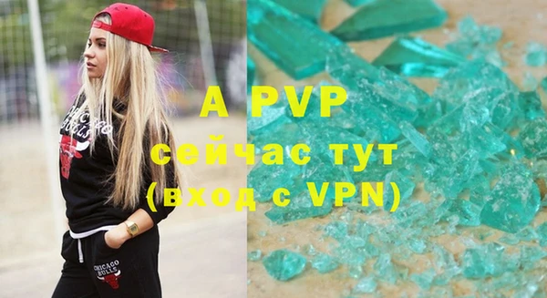 индика Медногорск