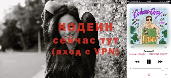 индика Медногорск